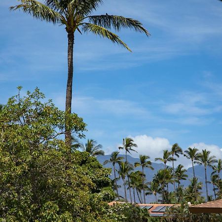 Beautiful 2Br 2Ba With Panoramic Ocean Views, Wifi, Free Parking! Kihei Exterior photo